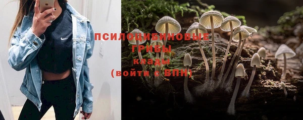 гашик Алзамай